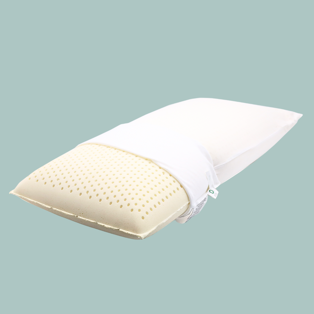 Standard size all-natural Talalay latex pillow on white background – 100% organic latex, ideal for back and side sleepers
