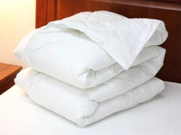 Organic Down Alternative Comforter