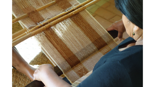 The Bamboo Bedding Revolution: Why Bamboo is the Best Choice for Your Home