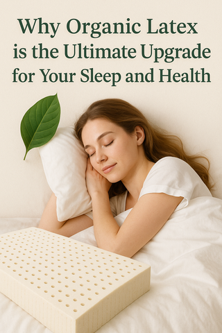 Why Organic Latex is Better for Your Sleep & Health | GOTS & GOLS Certified