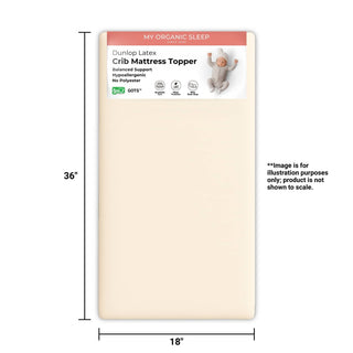 Co-Sleeper (Cradle) Latex Mattress Topper (36” × 18”)