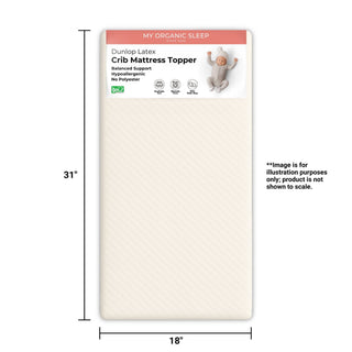 Mini-Sleeper Latex Mattress Topper (31” × 18”)