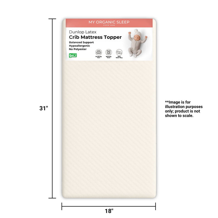 Mini-Sleeper Latex Mattress Topper (31” × 18”)