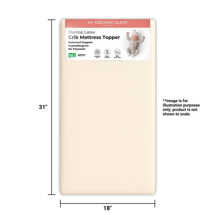 Mini-Sleeper Latex Mattress Topper (31” × 18”)