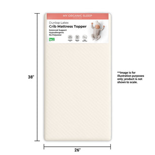 Playard Latex Mattress Topper (38” × 26”)