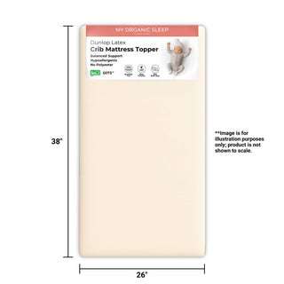 Playard Latex Mattress Topper (38” × 26”)