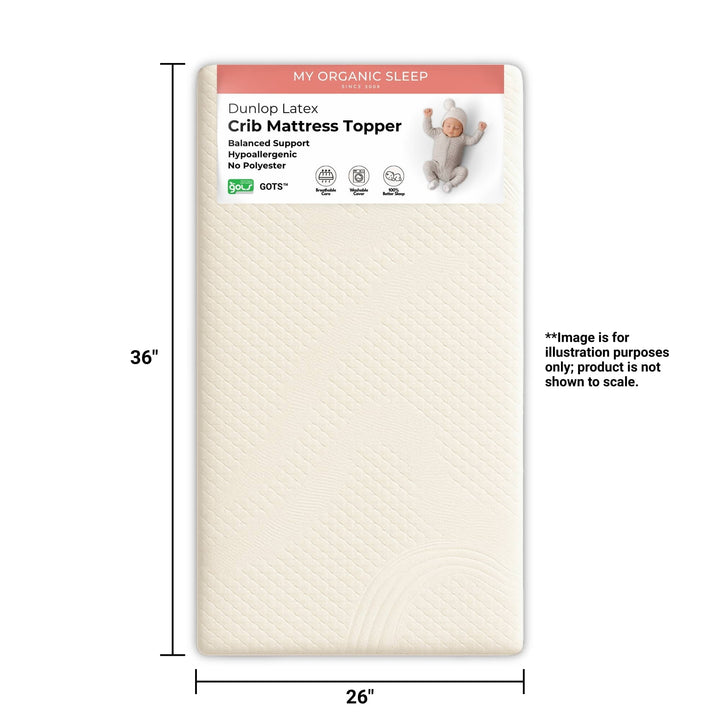 Portable Crib Latex Mattress Topper (36” × 26”)