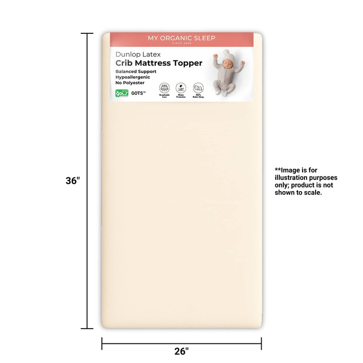 Portable Crib Latex Mattress Topper (36” × 26”)