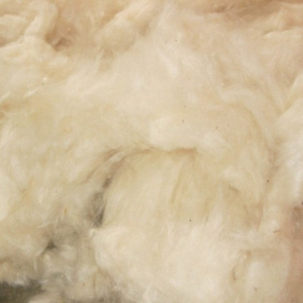 Organic Cotton Stuffing -  Canada