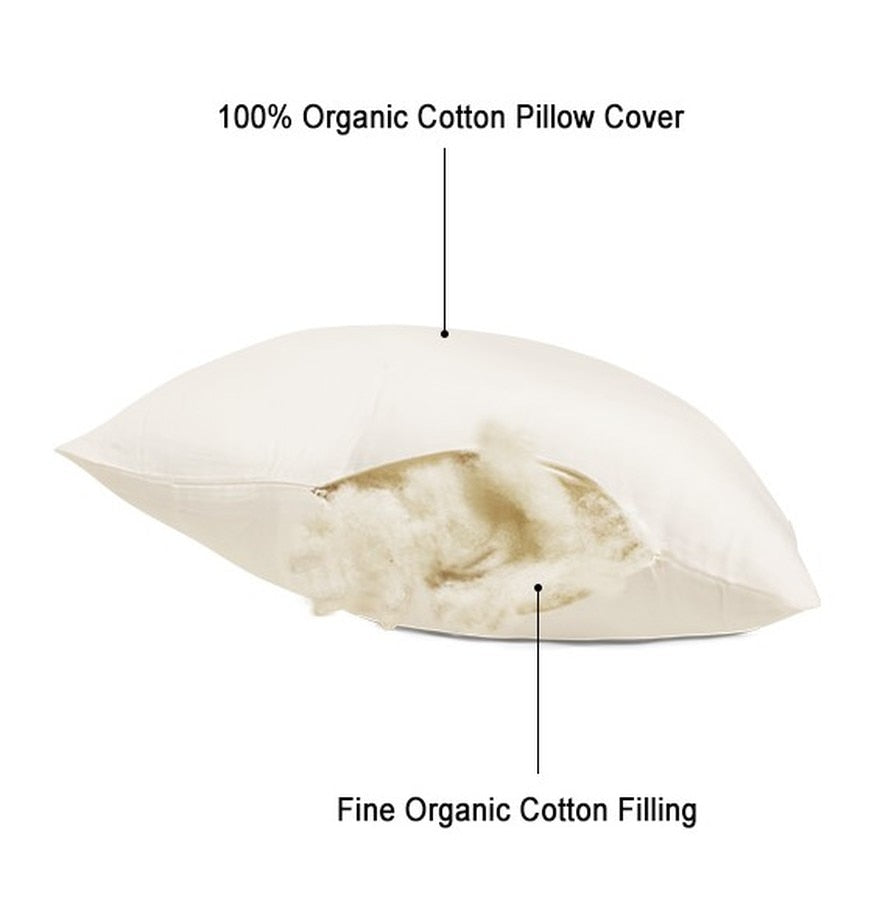 Buy Best Organic Cotton Filled Pillow, Eco Friendly Pillows