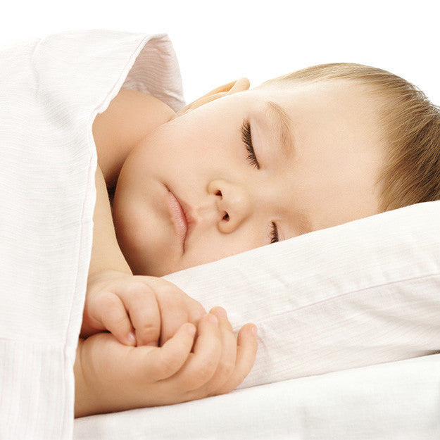Natural Wool Comforter for Babies - MyOrganicSleep