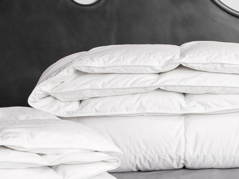 Buy the Best Organic Talalay Latex Pillow My Orgainic Sleep My